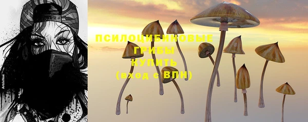 Альфа ПВП Приозерск