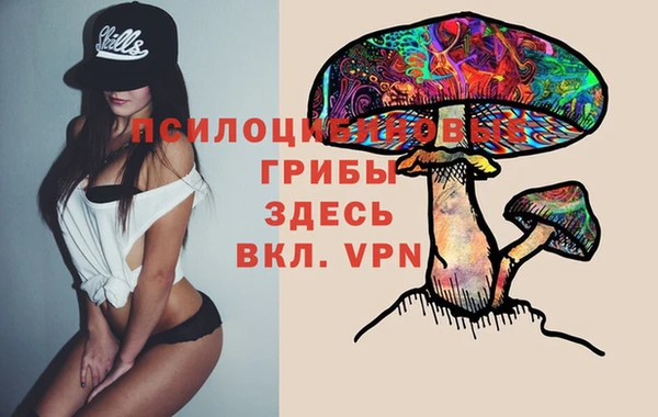 Альфа ПВП Приозерск