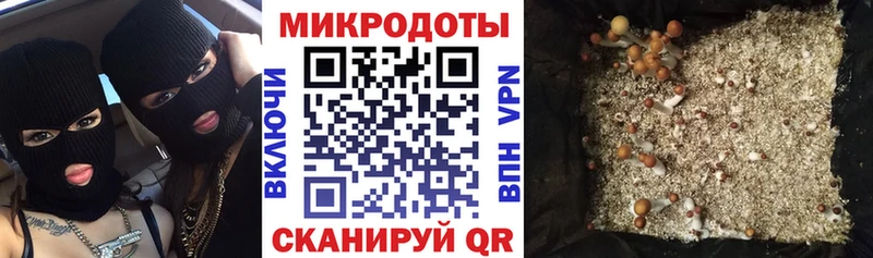 Галлюциногенные грибы прущие грибы  где продают   Хотьково 